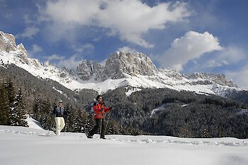 Schneegenuss in den Südtiroler Alpen